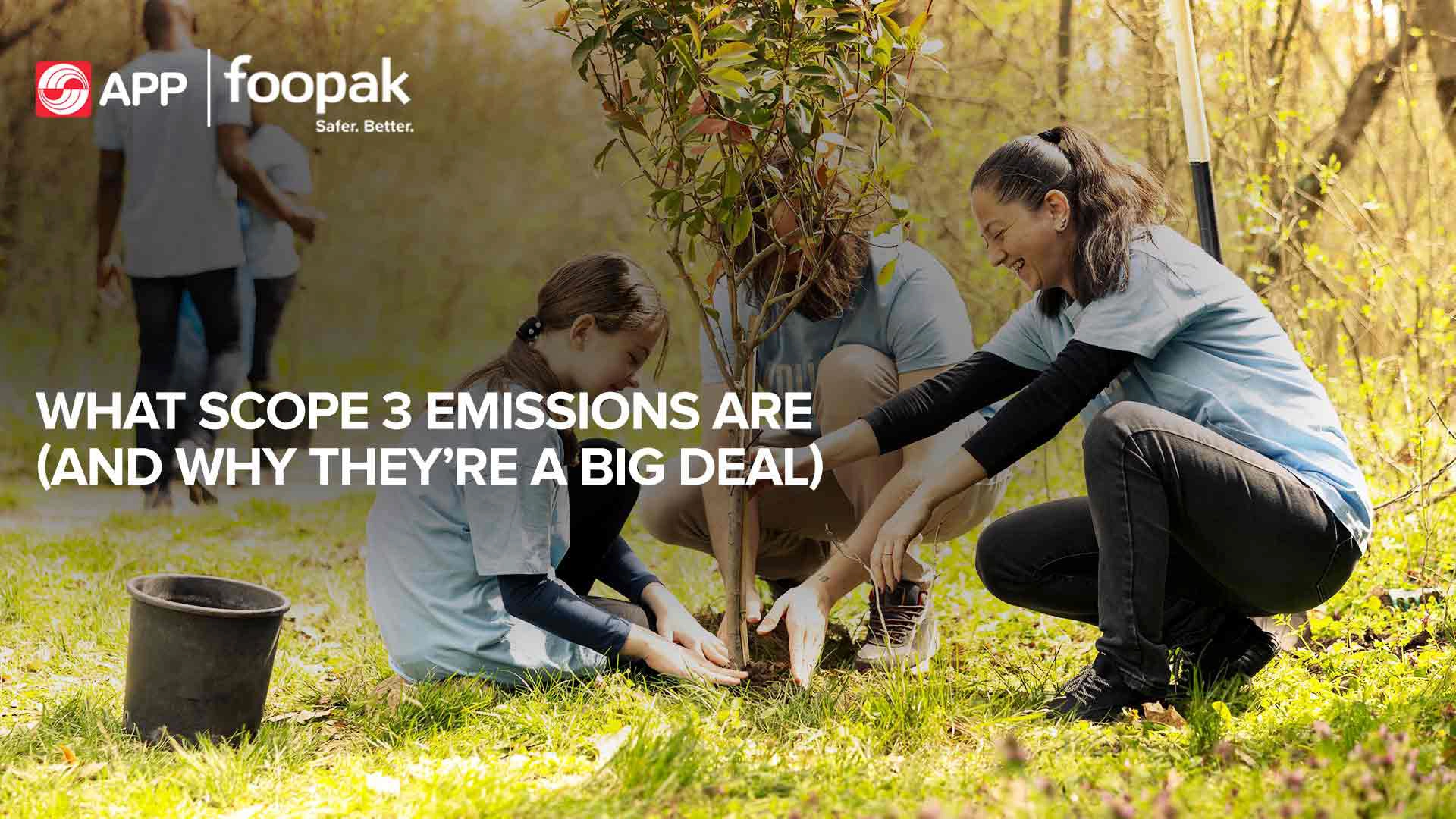 What Scope 3 Emissions Are (and Why They’re a Big Deal)