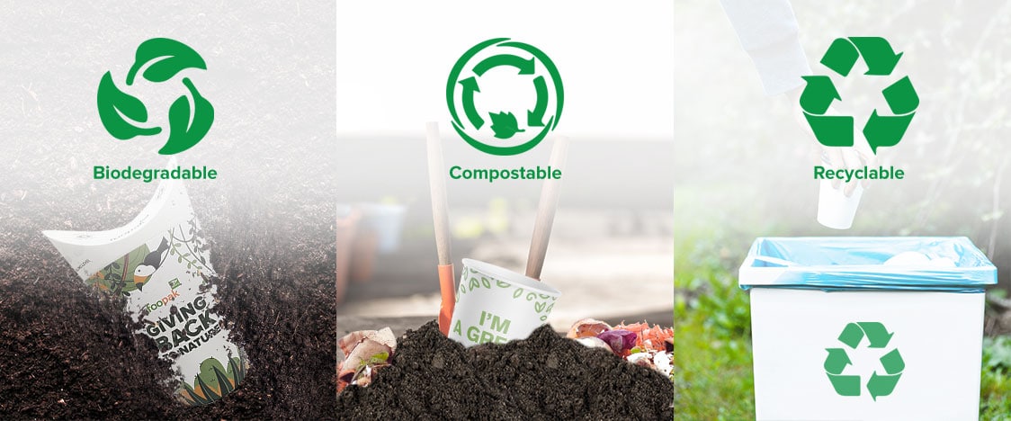 Compostable, Biodegradable and Recyclable Paper Cup