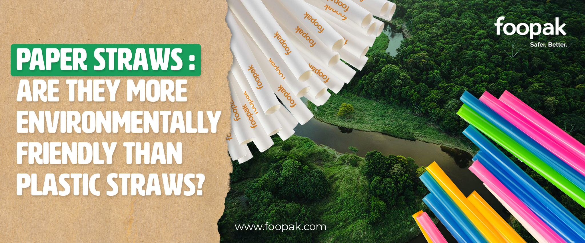 Paper Straws : Are They More Environmentally Friendly than Plastic Straws?