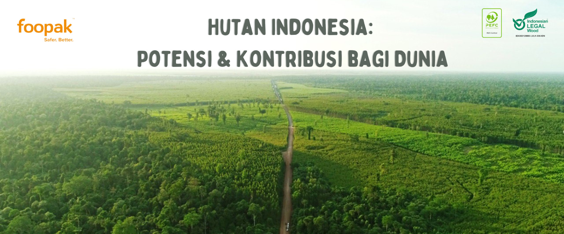 Indonesian Forests: Potential & Contribution to The World