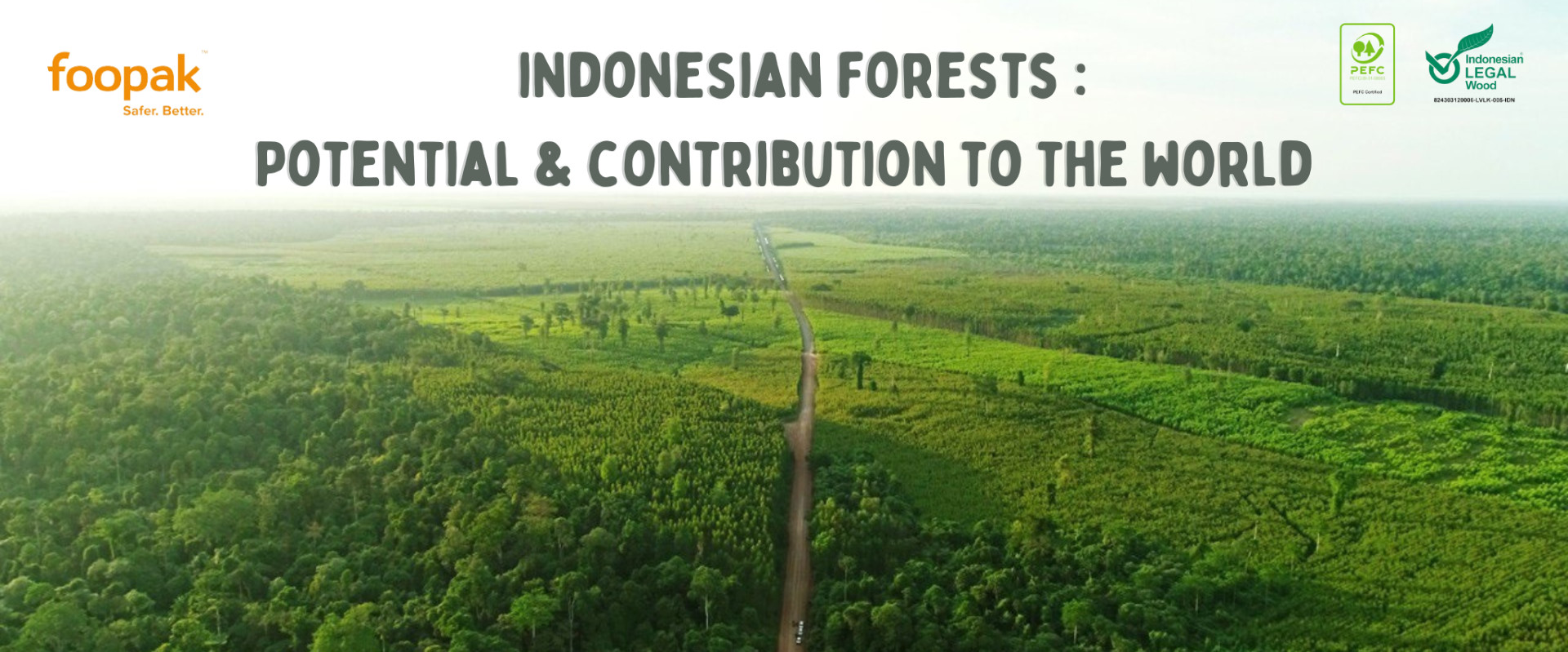 Indonesian Forests: Potential & Contribution to The World