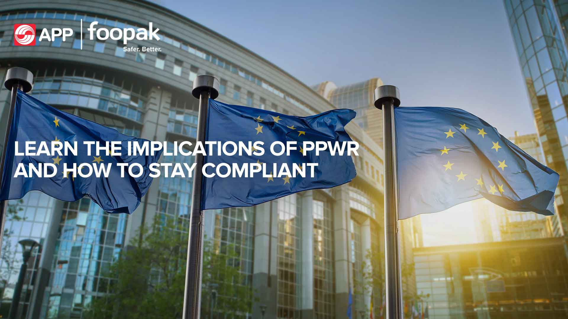 Learn the Implications of PPWR and How to Stay Compliant