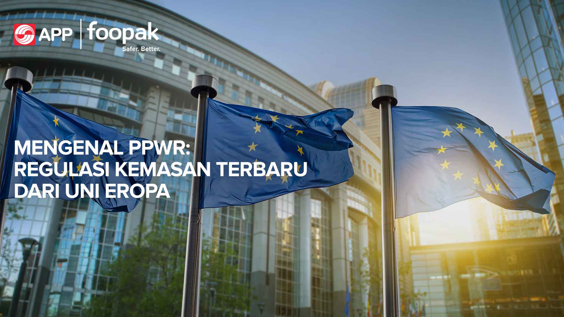Learn the Implications of PPWR and How to Stay Compliant
