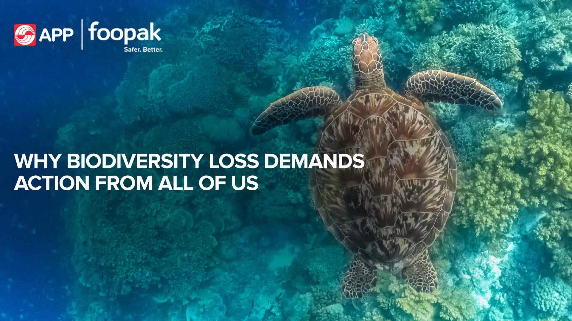 Why Biodiversity Loss Demands Action From All of Us