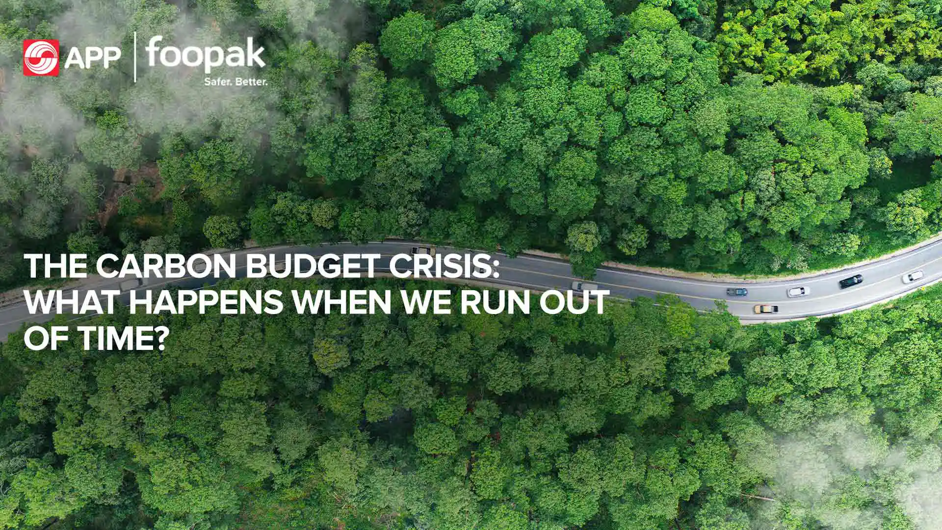 The Carbon Budget Crisis: What Happens When We Run Out of Time?