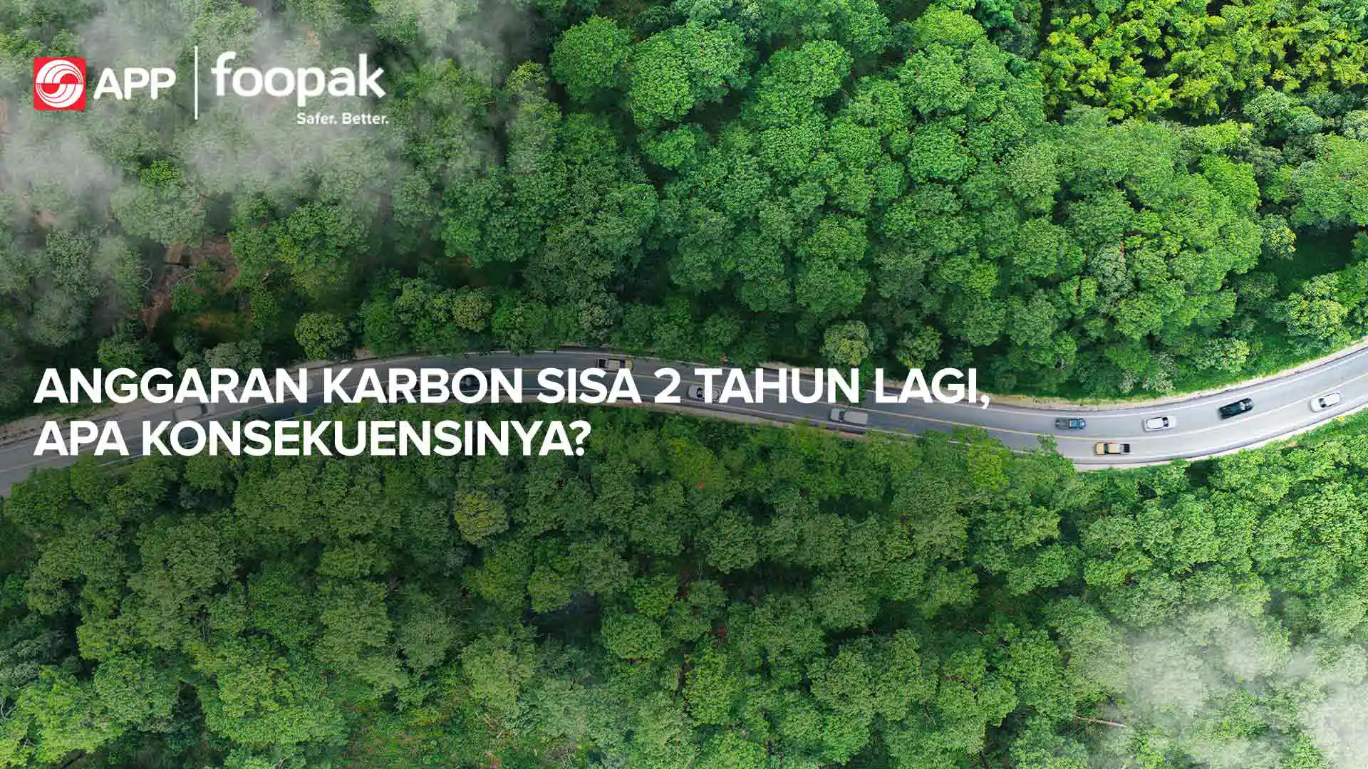 The Carbon Budget Crisis: What Happens When We Run Out of Time?