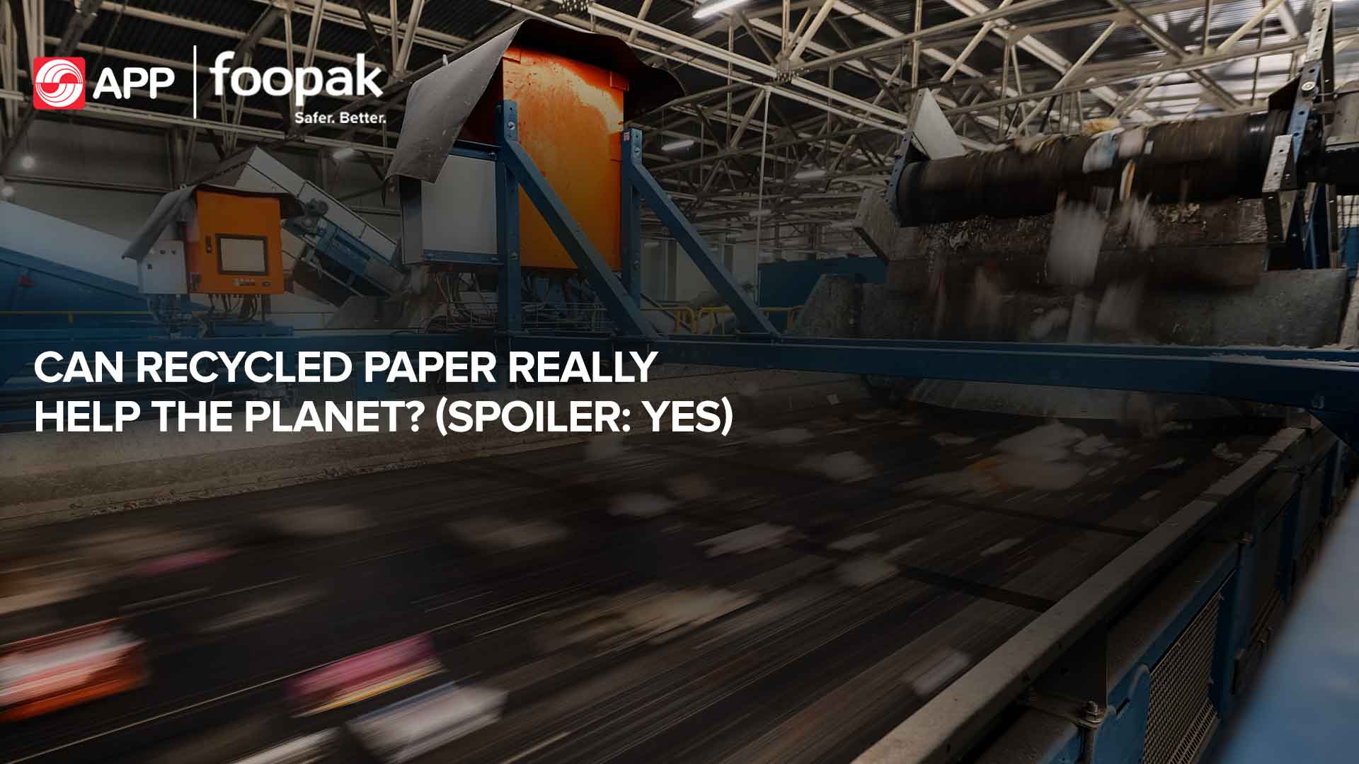 Can Recycled Paper Really Help the Planet? (Spoiler: Yes)
