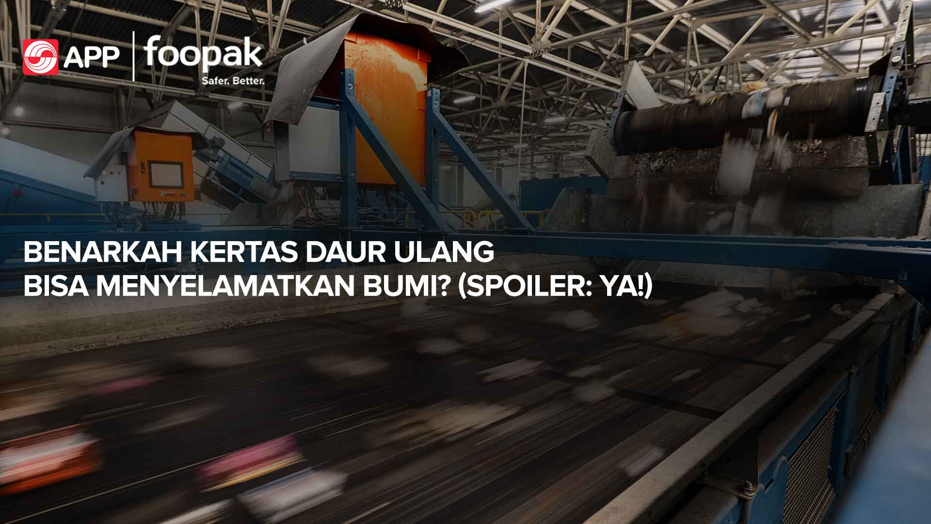 Can Recycled Paper Really Help the Planet? (Spoiler: Yes)