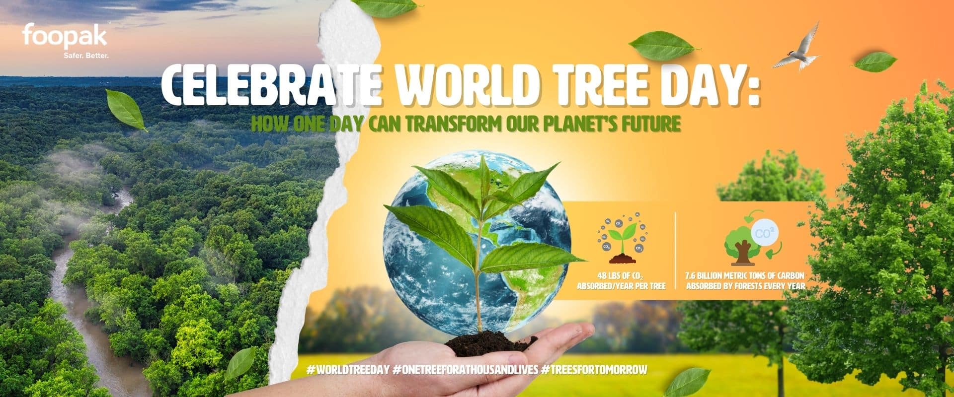 Celebrate World Tree Day: How One Day Can Transform Our Planet’s Future